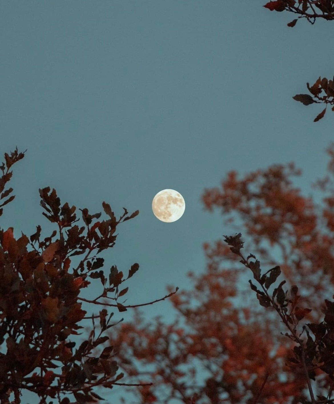 Self Care During The Full Moon | Your Ultimate Self Care Guide – Loyal ...