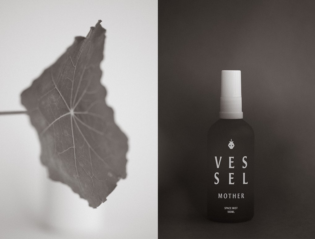 Vessel - Mother Space Mist